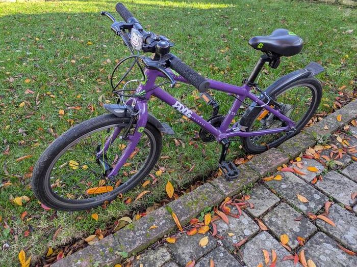 frog bike 55