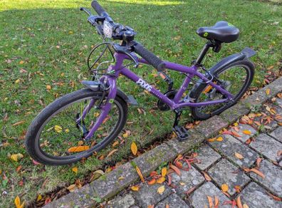 frog bike 55