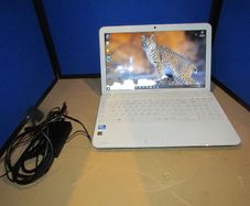 Toshiba Laptop