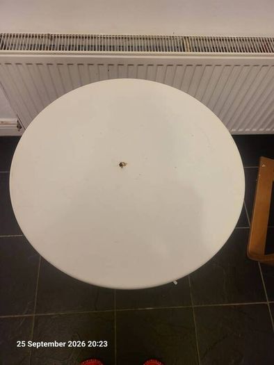 Free Ikea Table