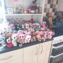 Huge TY Plushie Collection Image 6