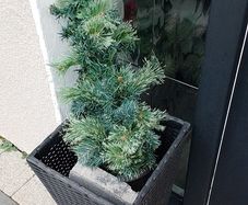 outdoor mini fake light up trees