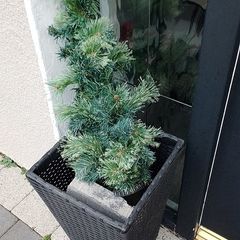 outdoor mini fake light up trees