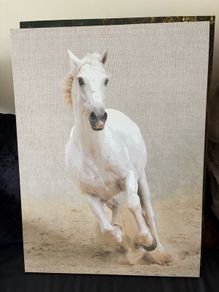 Canvas 57x79cm
