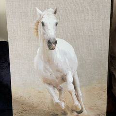 Canvas 57x79cm