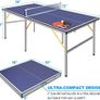 Table Tennis Table Image 2