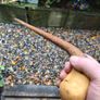 walking stick Image 3