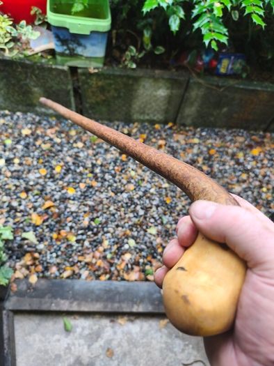 walking stick