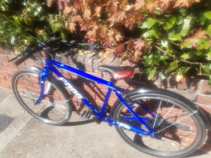 Frog 73 kids bike
