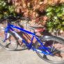 Frog 73 kids bike Image 4