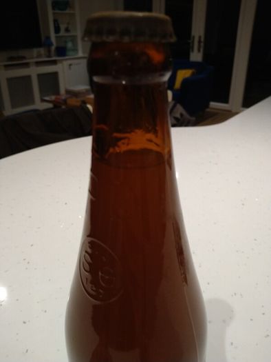 Vintage Guinness Bottle (Chapelizod)
