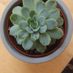 debra.mcnamara.54