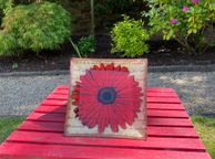 main image for ad Gerbera Plate
