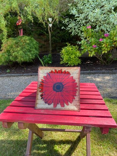 Gerbera Plate