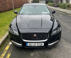 Jaguar NF