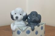NAO by Lladro