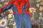 Spiderman costume