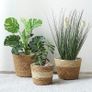 3Pcs Seagrass Planter Basket, 3 Size Woven Plant Pot Indoor Outdoor - Flower Pots Cover Storage Basket Plant Containers for Home Decor (Beige) Image 2