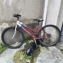 Raleigh Girls Bicycle
