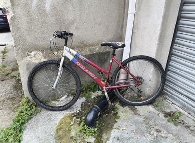 Raleigh Girls Bicycle
