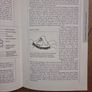 The RORC Manual of Safety and Survival at Sea (RORC Manuals) - Hardcover Image 10