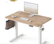 Electric Standing Desk 100 x 60 cm, Height Adjustable Sit Stand Desk with 3 Memory Presets, Home Office Computer Desk, White Frame with Oak Top