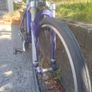Carrera mtb Image 3