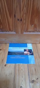 Paddy Reilly Now - LP - Irish Music - Lunar Records - 1988