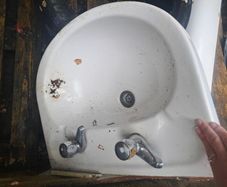 Sinks and shower door