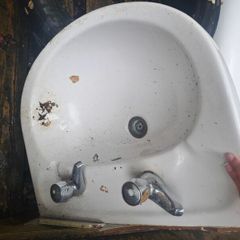 Sinks and shower door