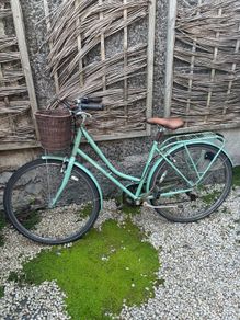 Womens bikes
