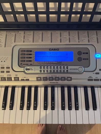 Casio WK-3300 Keyboard with adjustable stand.
