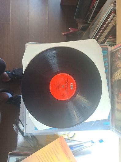 Vinyl.Simon and Garfunkel.