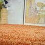 Soft Everyday Terracotta Shaggy Rug Image 3