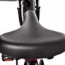Kaisda K2-P-Pro 750W Electric Bike Image 4