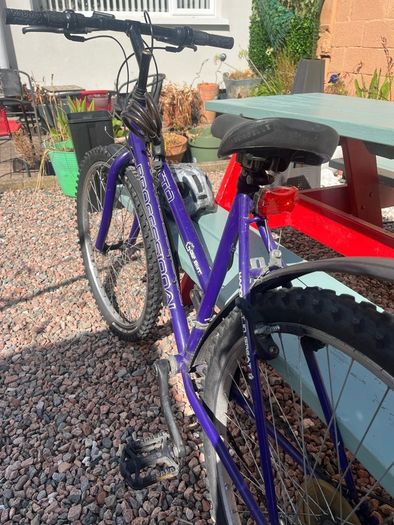 bike size 24