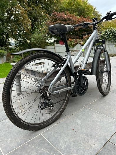 Bike ridgeback
