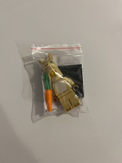 Lego Llama Costume Girl Series 20
