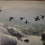 Julian Friers Grouse Wildlife Print Image 10