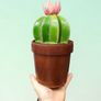 hand made leather cactus box Image 2