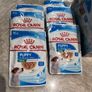 Dog food Image 2