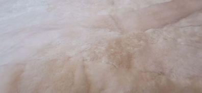 nature sheepskin rug