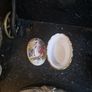 spode Image 5