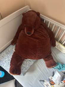 large cuddley brown bear