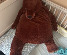 large cuddley brown bear