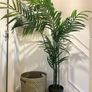 artificial plant and pot Image 2