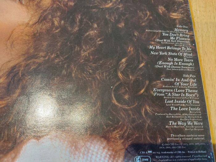 Batch Of Vinyl Records For Sale (15/15) - All Cleaned And In Excellent Condition