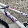 Apollo Teens Mountain Bike Image 2