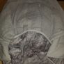 Lodger Bunker Footmuff Image 3