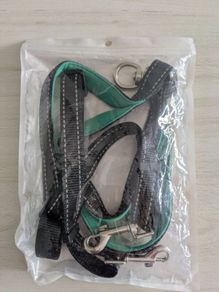 Double Dog Lead